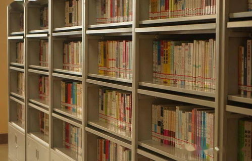 圖書漂流啟航，知識于濰坊理工學院圖書館流淌